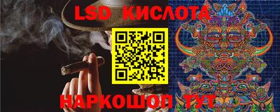 прущие крисы Абакан