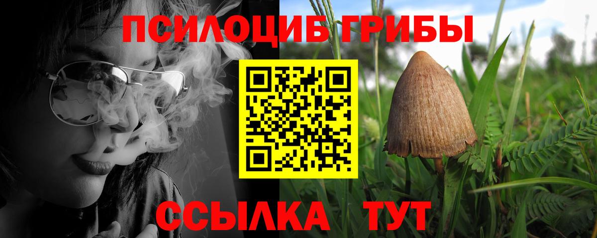 Псилоцибиновые грибы прущие грибы  что такое   Абинск  Вход с VPN 