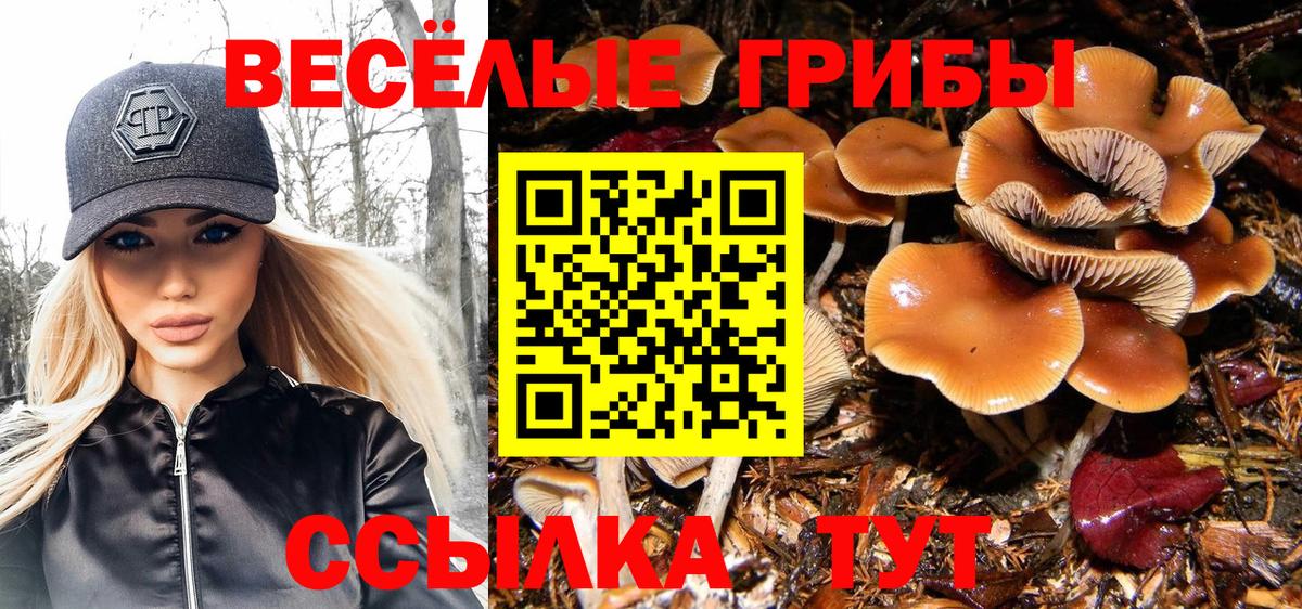 Галлюциногенные грибы Magic Shrooms Абинск